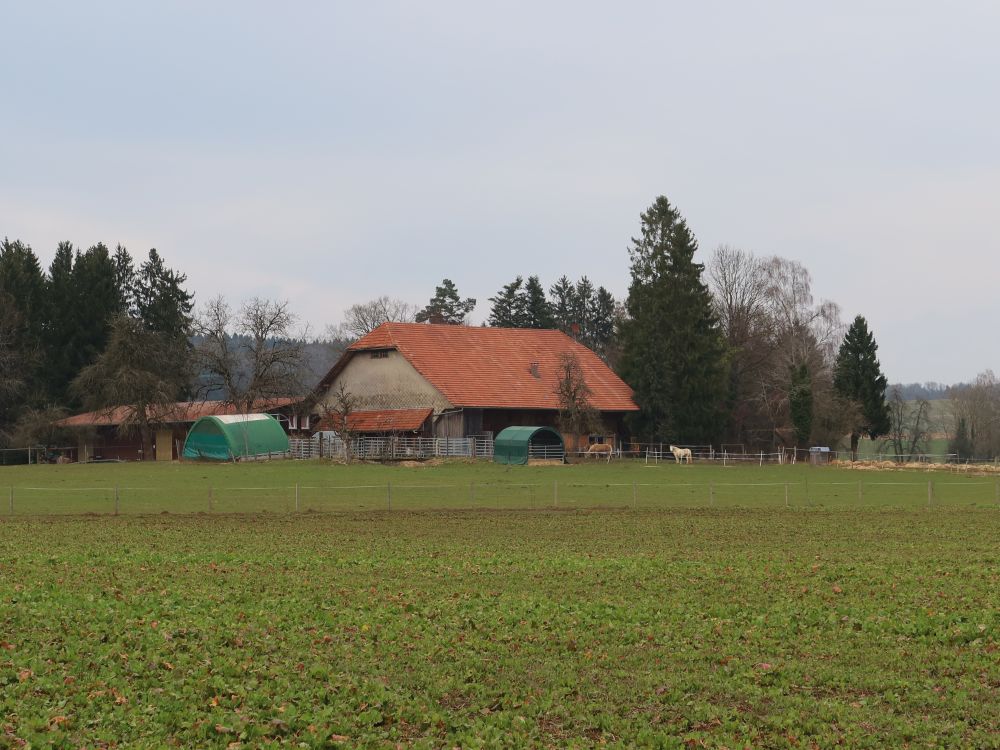 Oberi Choderüüti