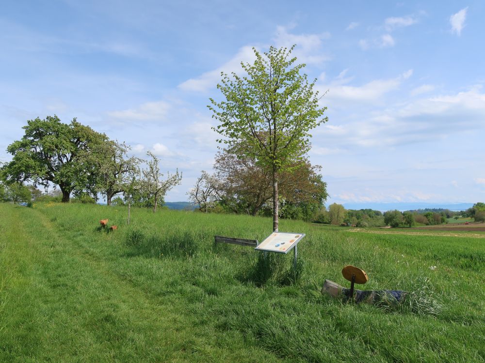 Infotafel und Sitzbänke