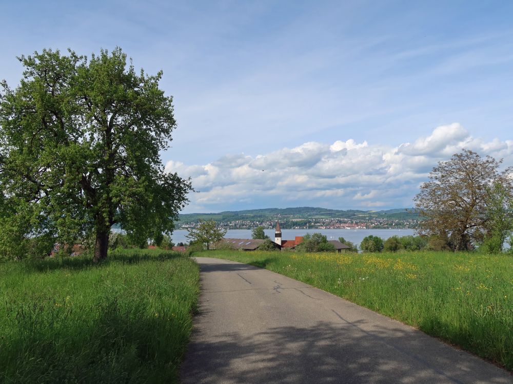 Kirchturm Dingelsdorf und Überlingen