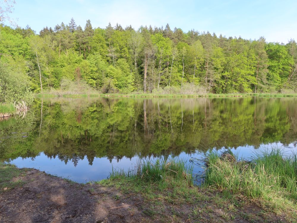 Dingelsdorfer Weiher