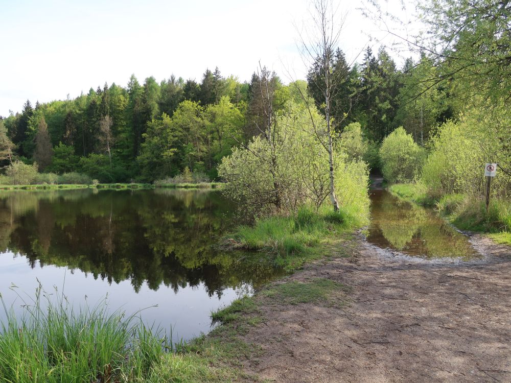 Dingelsdorfer Weiher