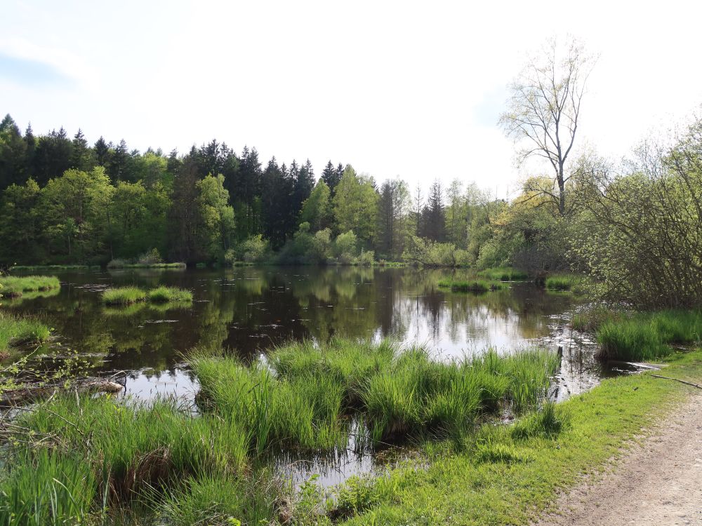 Dingelsdorfer Weiher