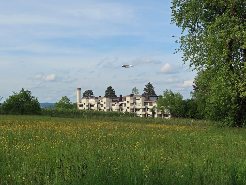 Zeppelin über Litzelstetten