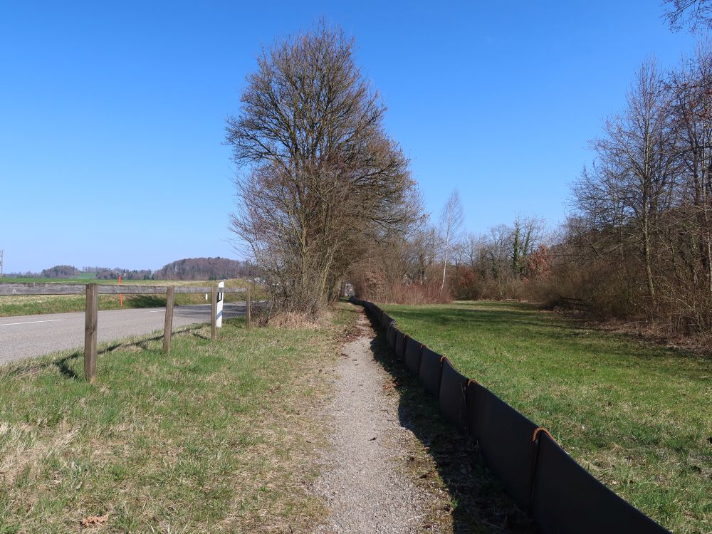 Krötenschutzwall