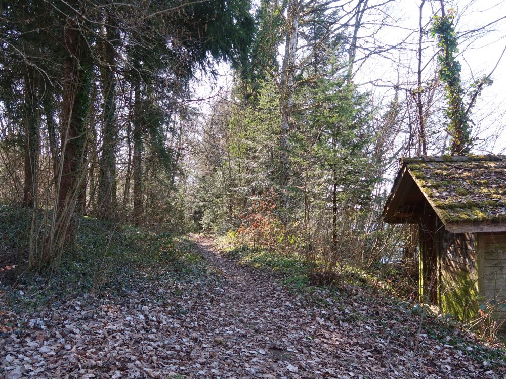 Pfad am Weiherufer