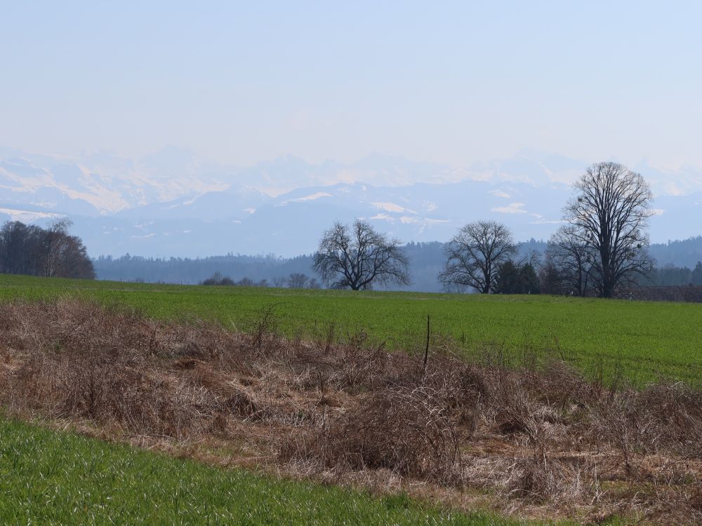 Alpen im Dunst
