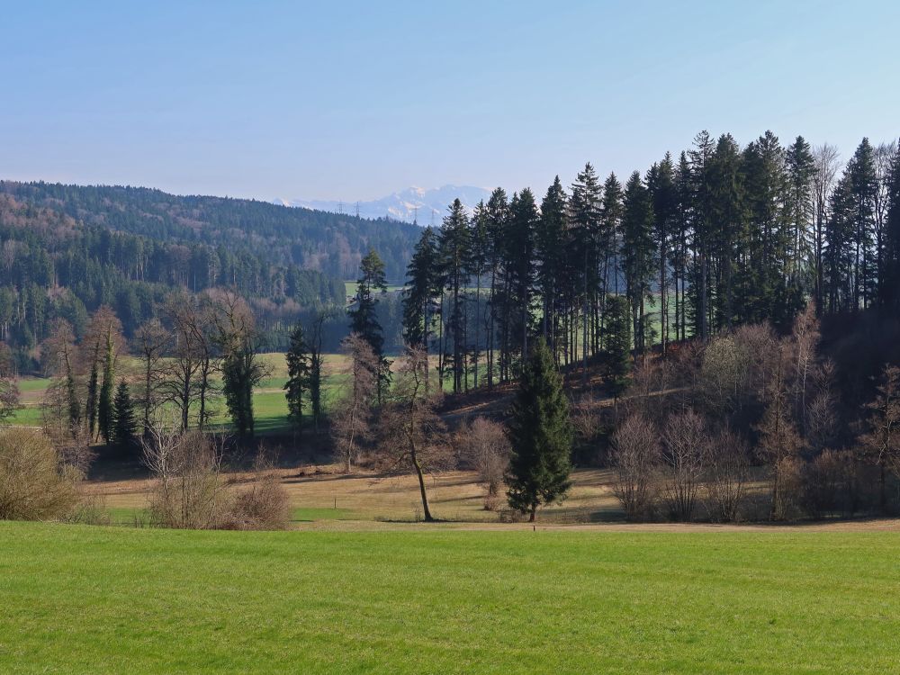 Alpen am Horizont