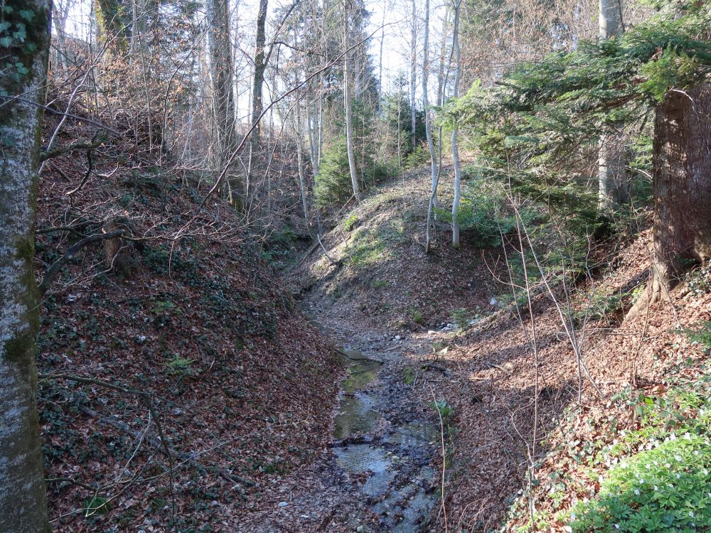 kleiner Tobel