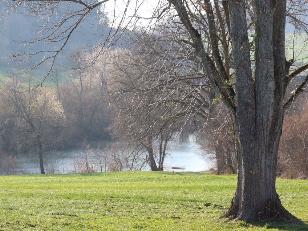 Theilinger Weiher