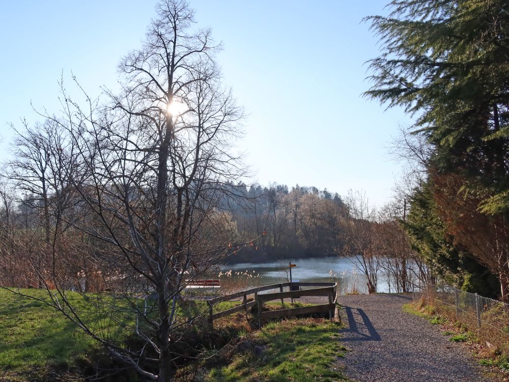 Theilinger Weiher