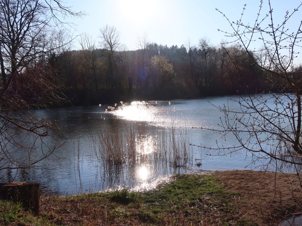 Theilinger Weiher