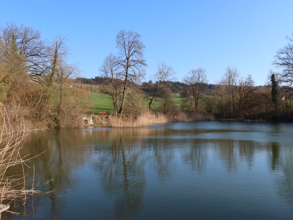 Theilinger Weiher