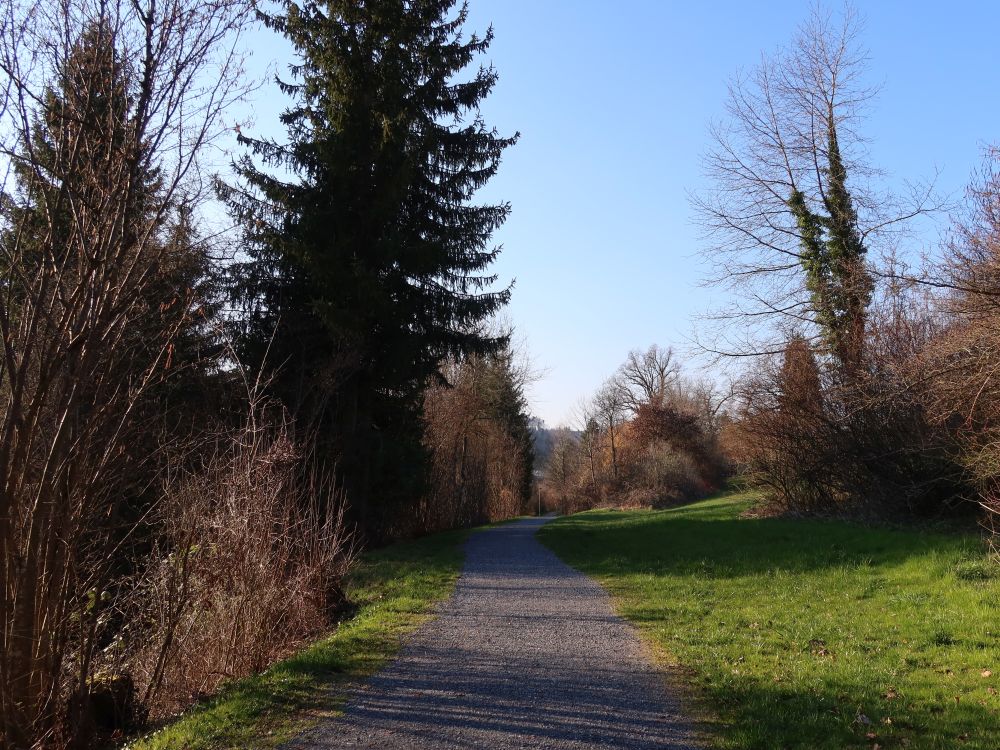 Wasserwiesweg