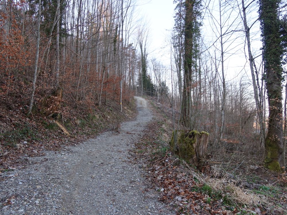 Farzelweg