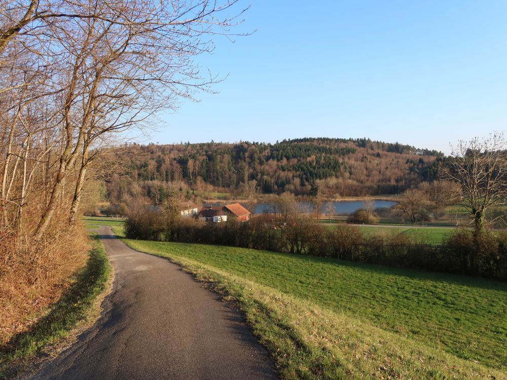 Bertastrasse und Brauiweiher