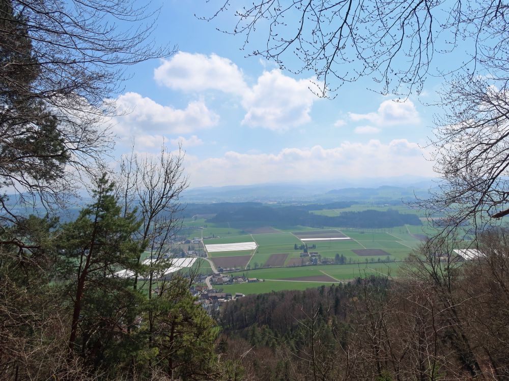 Blick vom Immenberg