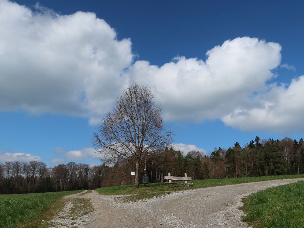 Weggabelung bei Sonnenberg