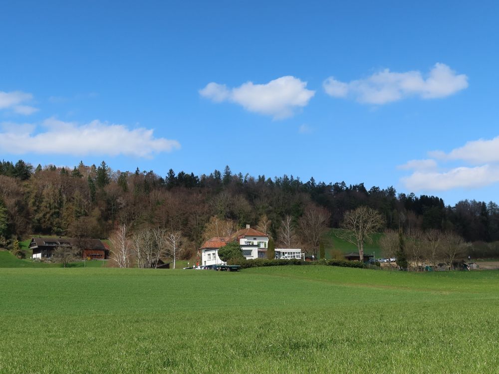 Restaurant Stäälibuck