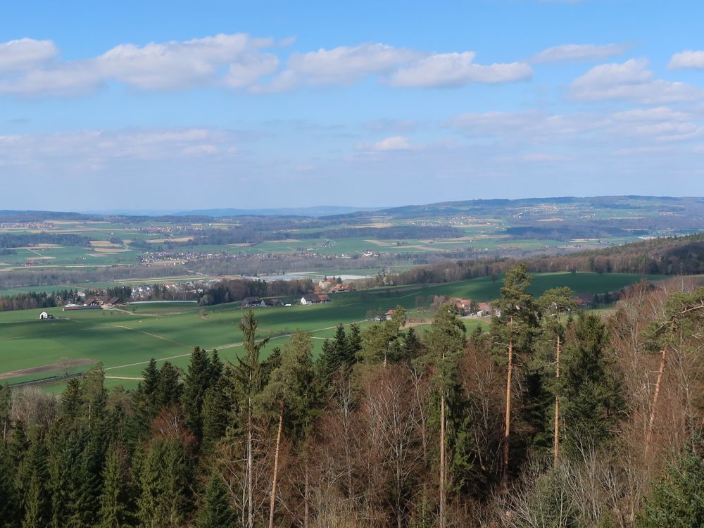 Blick vom Stäälibuckturm