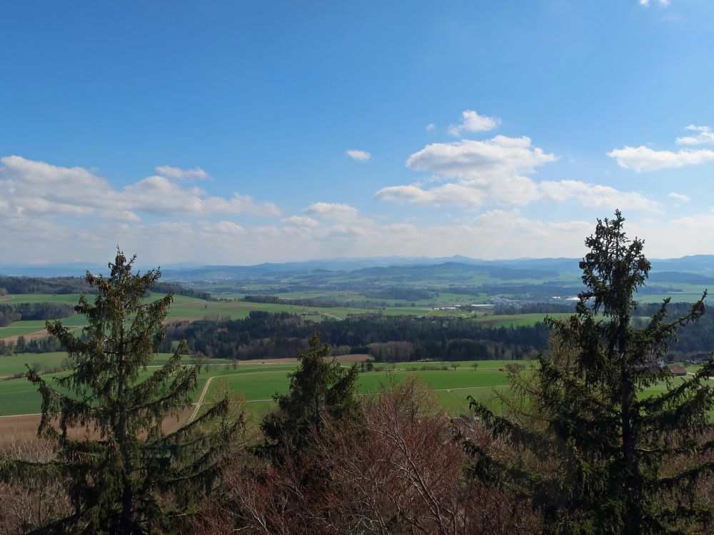 Blick vom Stäälibuckturm