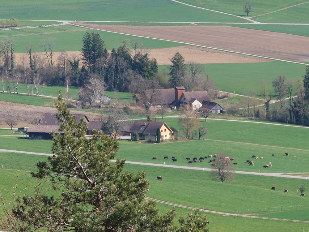 Im Grund und Dietlismühle