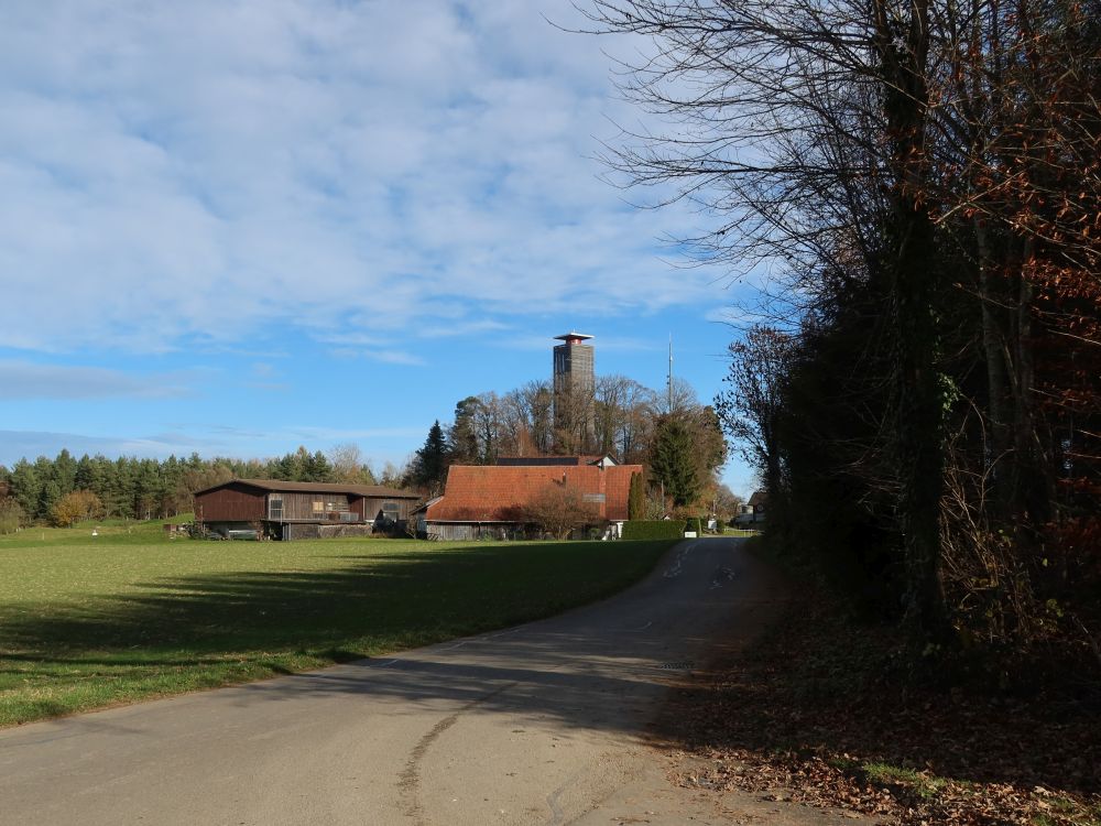 Napoleonturm bei Hohenrain