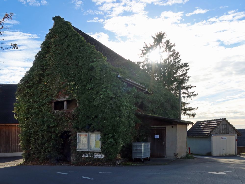 zugewachsene Hausfassade