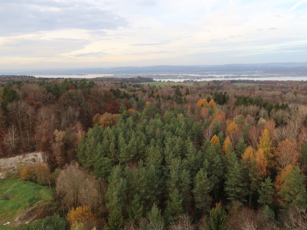Blick vom Turm Richtung Reichenau