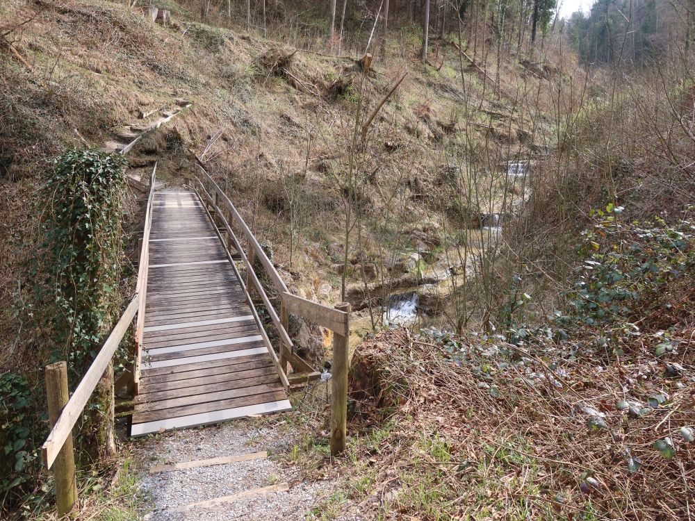 Holzsteg übern Sagentobelbach