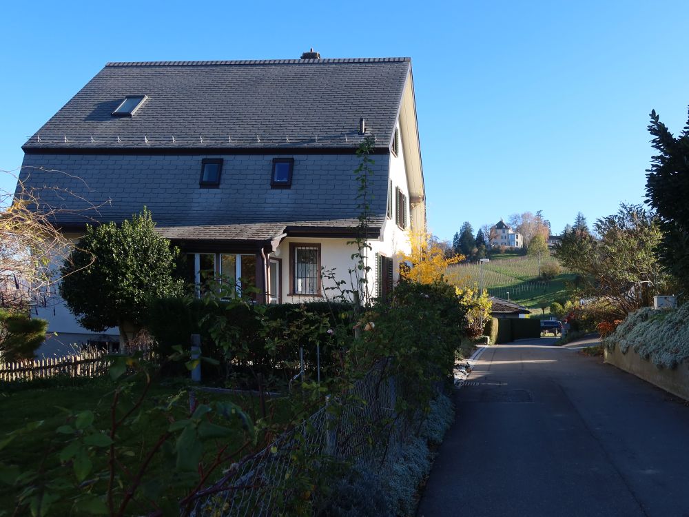 Weinbergstrasse mit Schloss Arenenberg