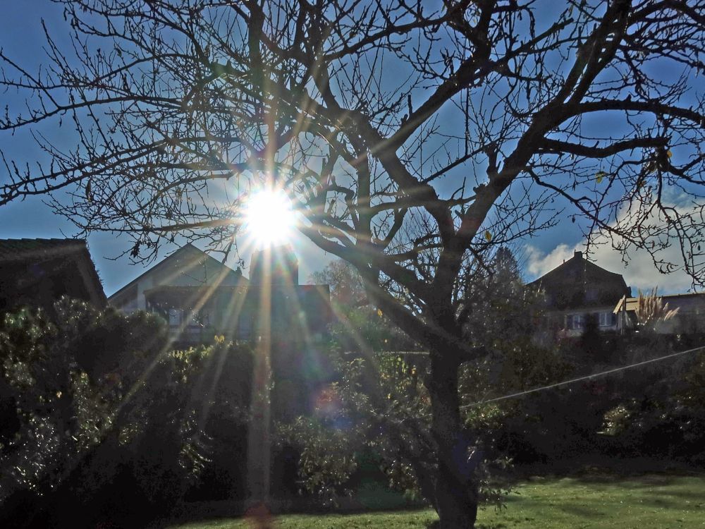 Sonnen über Schloss Salenstein