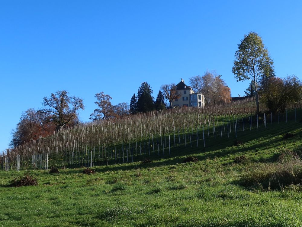 Schloss Arenenberg