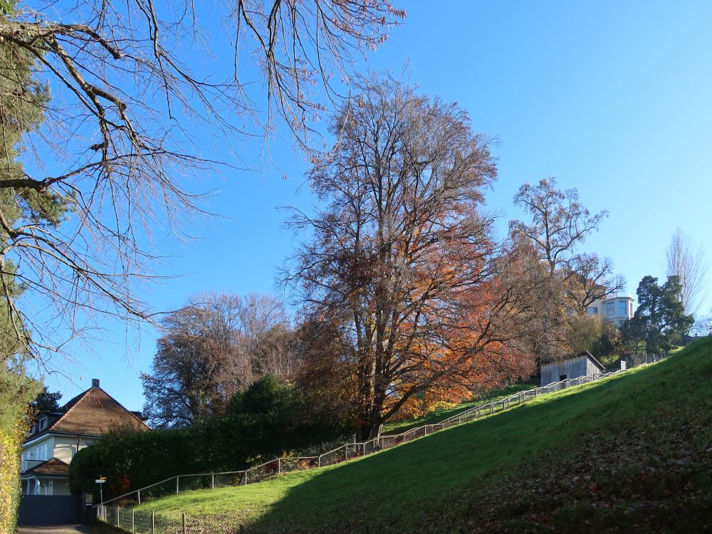 Treppe zum Schloss Arenenberg