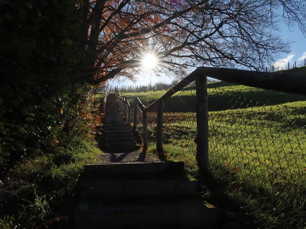 Treppe zum Schloss Arenenberg