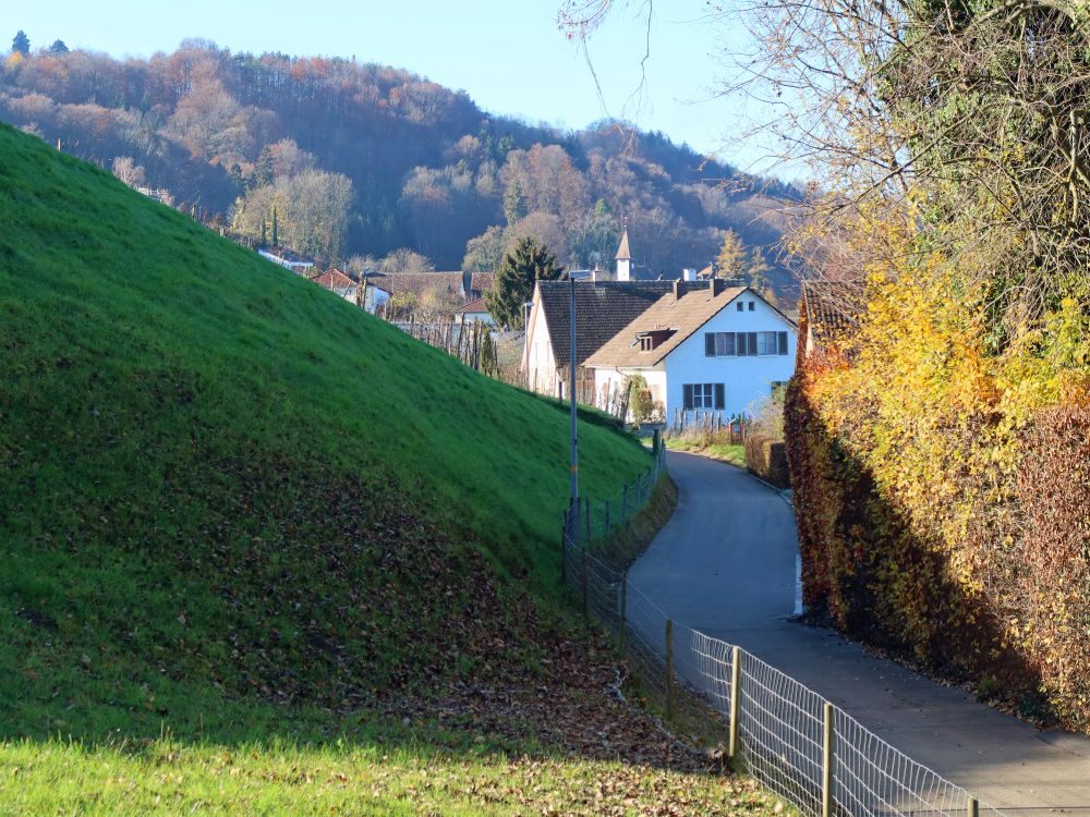 Weinbergstrasse in Mannenbach