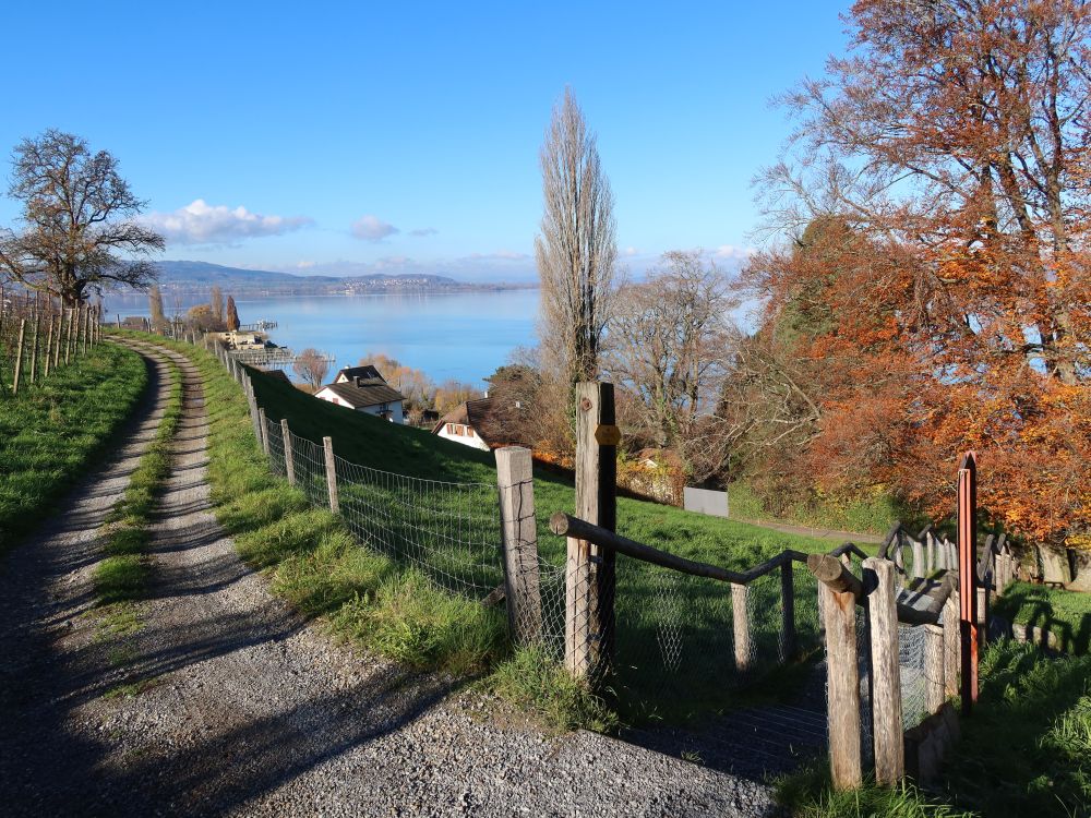 Blick auf Untersee und Höri