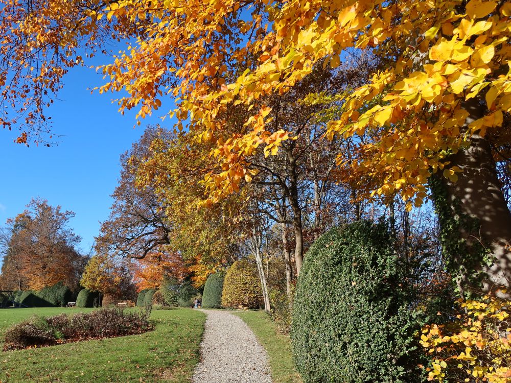 Herbstfarben