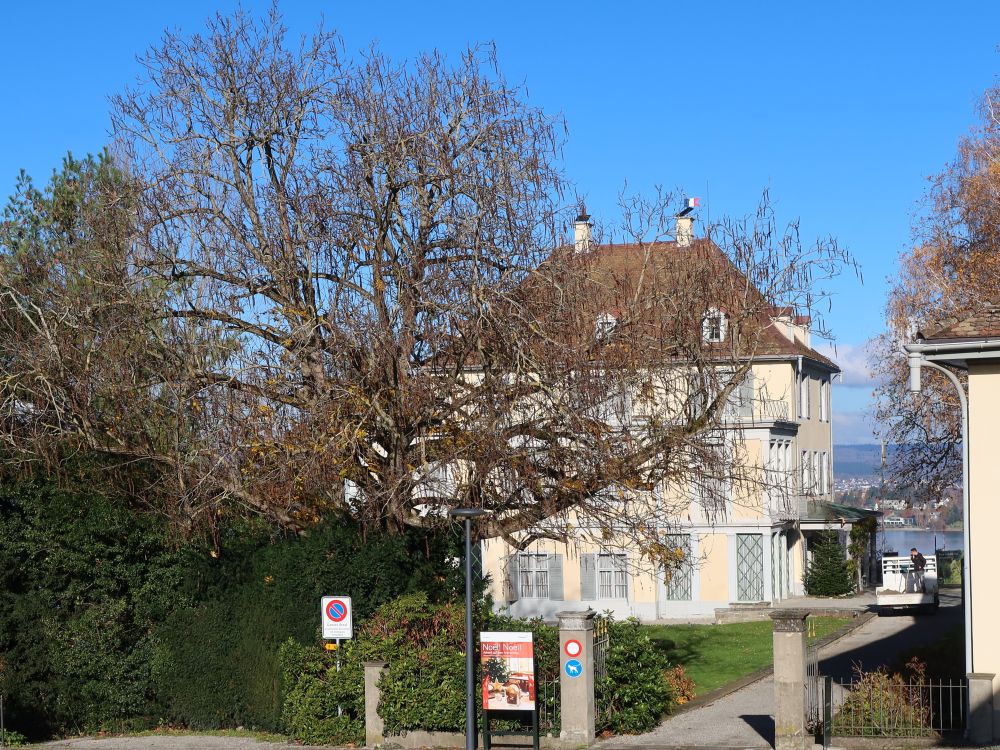 Schloss Arenenberg