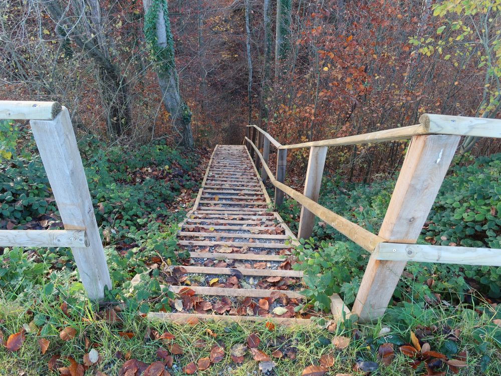 Treppe in den Rütelitobel