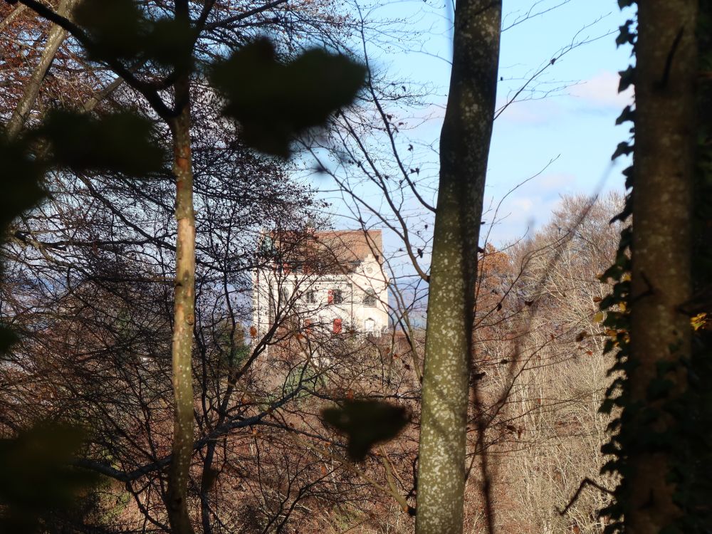 Schloss Salenstein