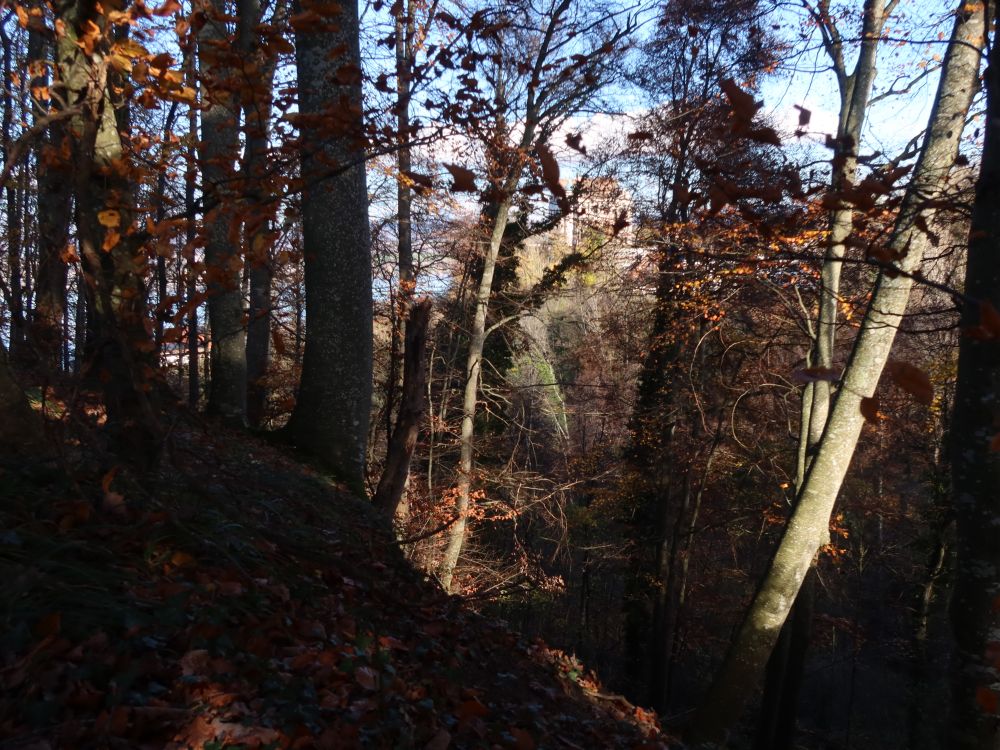 Schloss Salenstein überm Rütelitobel