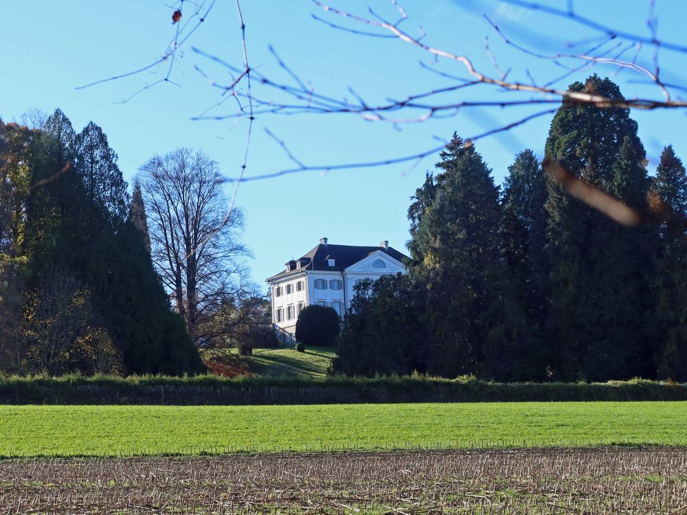 Schloss Eugensberg