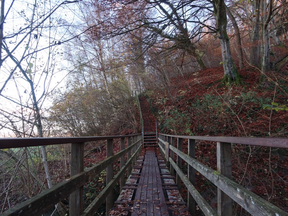 Holzsteg am Eschlibach