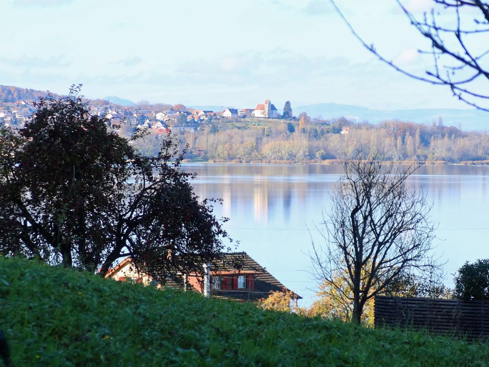 Blick Richtung Horn auf der Höri