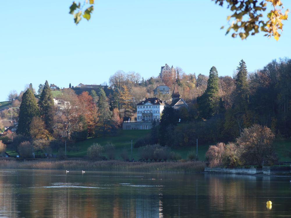 Schloss Louisenberg und Schloss Salenstein