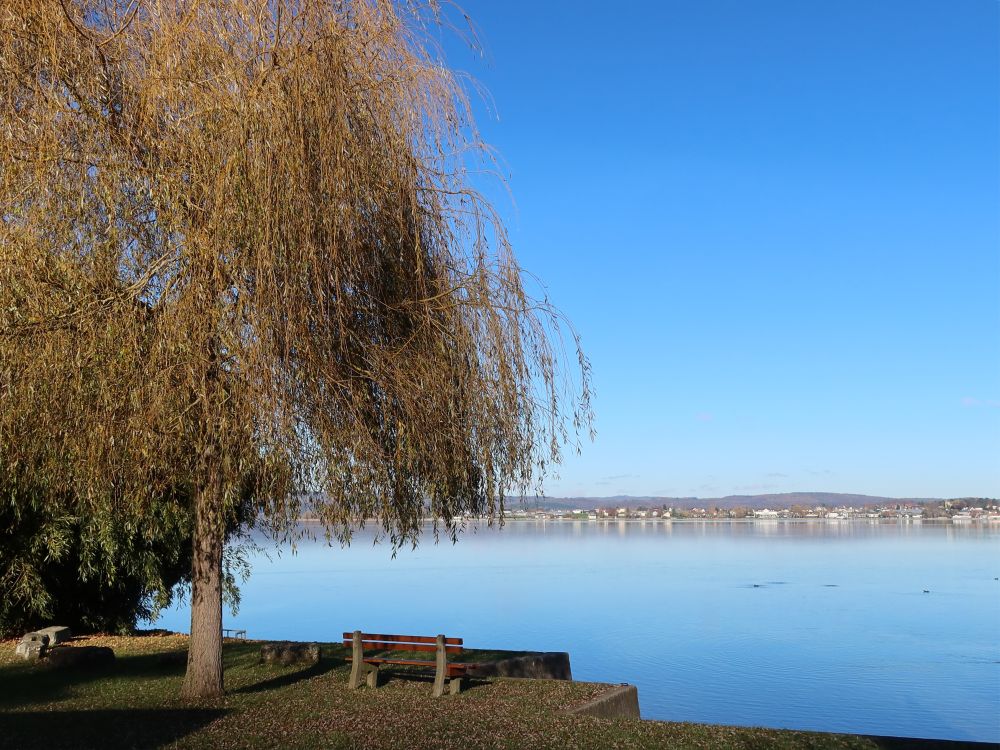 Sitzbank am Seeufer