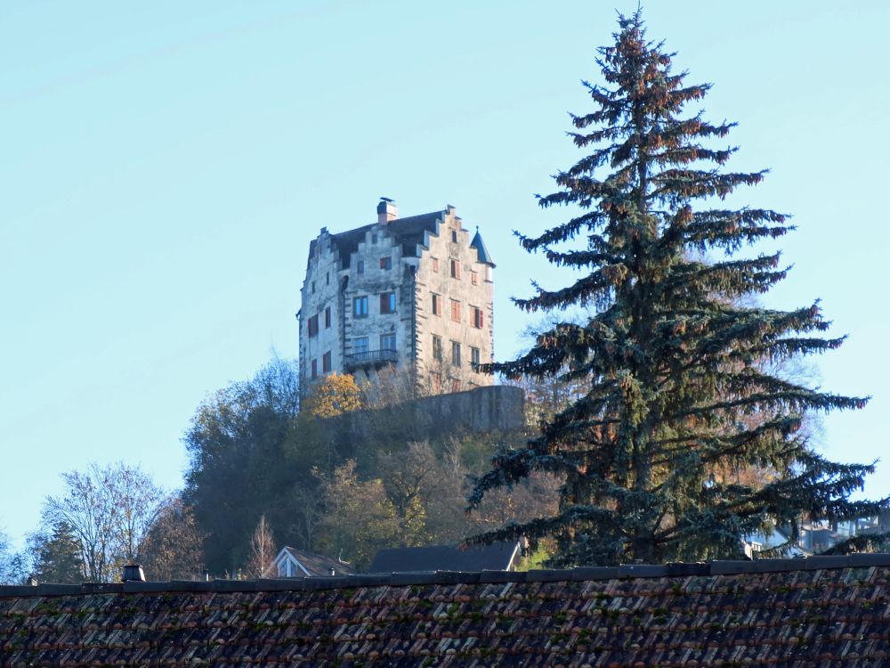 Schloss Salenstein