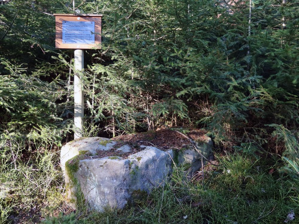 Buntsandstein mit Infotafel