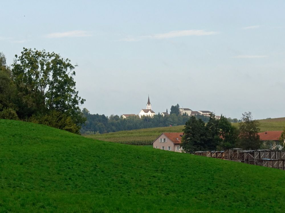 St. Pelagiberg