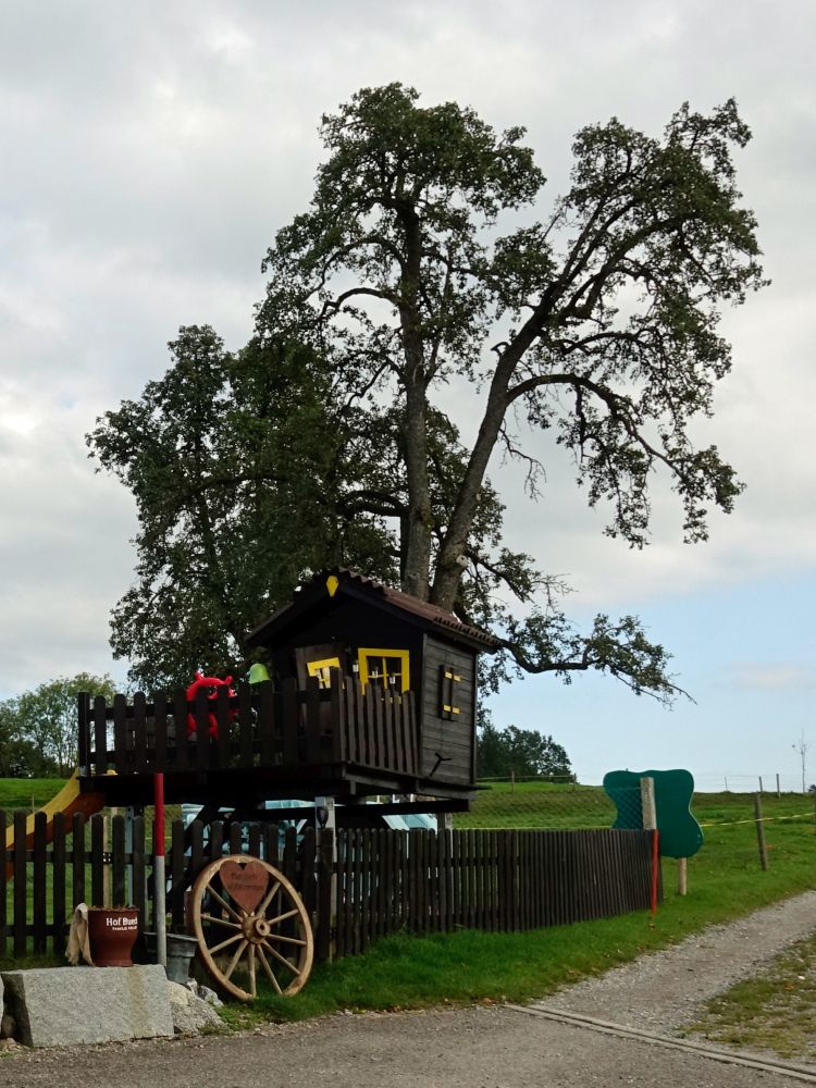 Kinderspielplatz mit Baumhäuschen